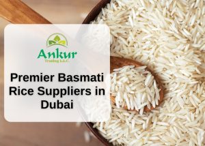 Best Basmati rice suppliers in Dubai