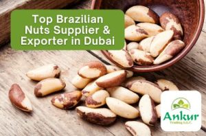 Top Brazilian Nuts Supplier & Exporter in Dubai