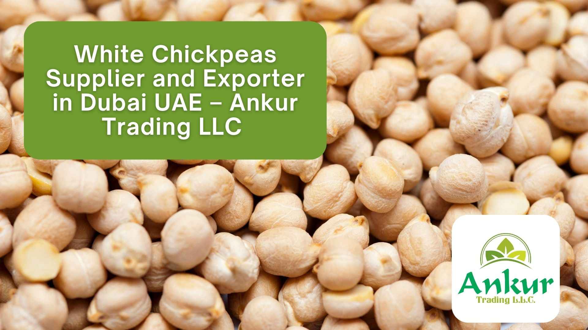 White Chickpeas Supplier and Exporter in Dubai UAE