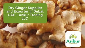 Dry Ginger Supplier and Exporter in Dubai, UAE – Ankur Trading LLC