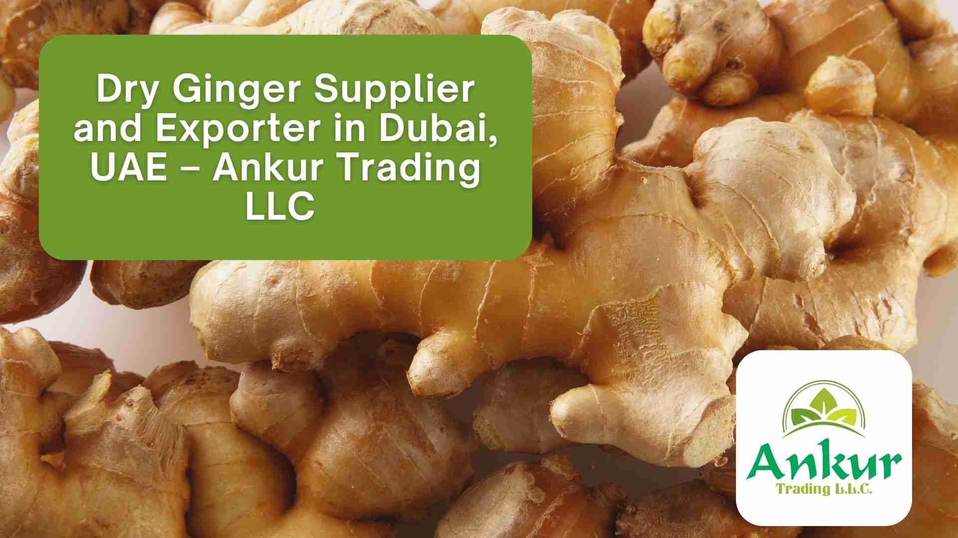 Dry Ginger Supplier and Exporter in Dubai, UAE – Ankur Trading LLC