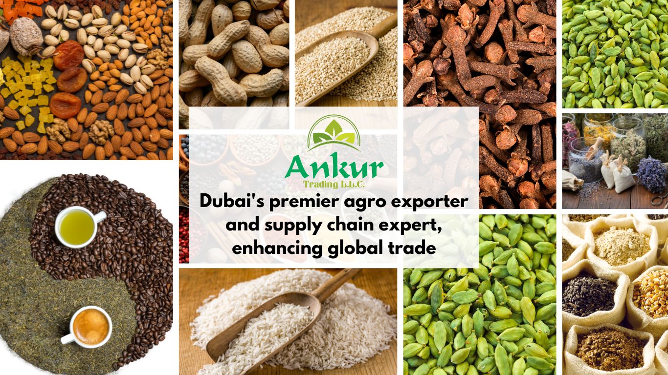 agro exporter and supply chain expert