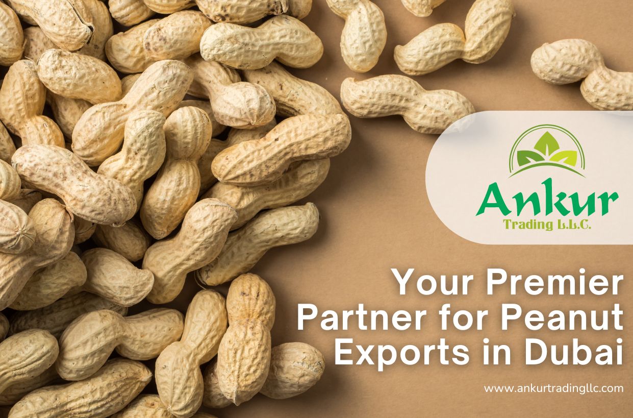 Peanut Exports in Dubai