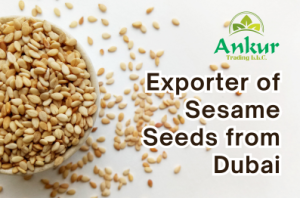 Sesame seeds exporter Dubai