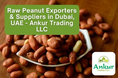 Raw Peanut Exporters & Suppliers in Dubai, UAE - Ankur Trading LLC