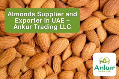 Almonds Supplier and Exporter in UAE – Ankur Trading LLC