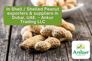 In Shell - Shelled Peanut exporters & suppliers in Dubai, UAE.