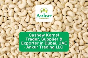 Cashew Kernel Trader, Supplier & Exporter in Dubai UAE - Ankur Trading LLC