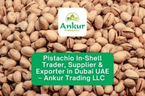 Pistachio In-Shell Trader, Supplier & Exporter in Dubai UAE – Ankur Trading LLC