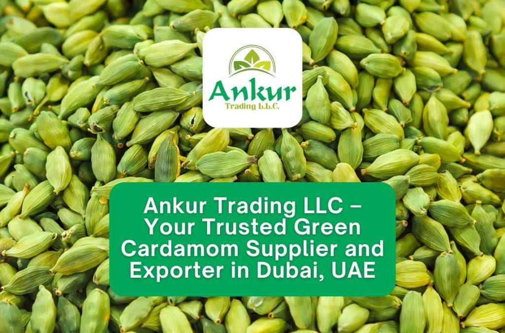 Ankur Trading LLC – Your Trusted Green Cardamom Supplier and Exporter in Dubai, UAE