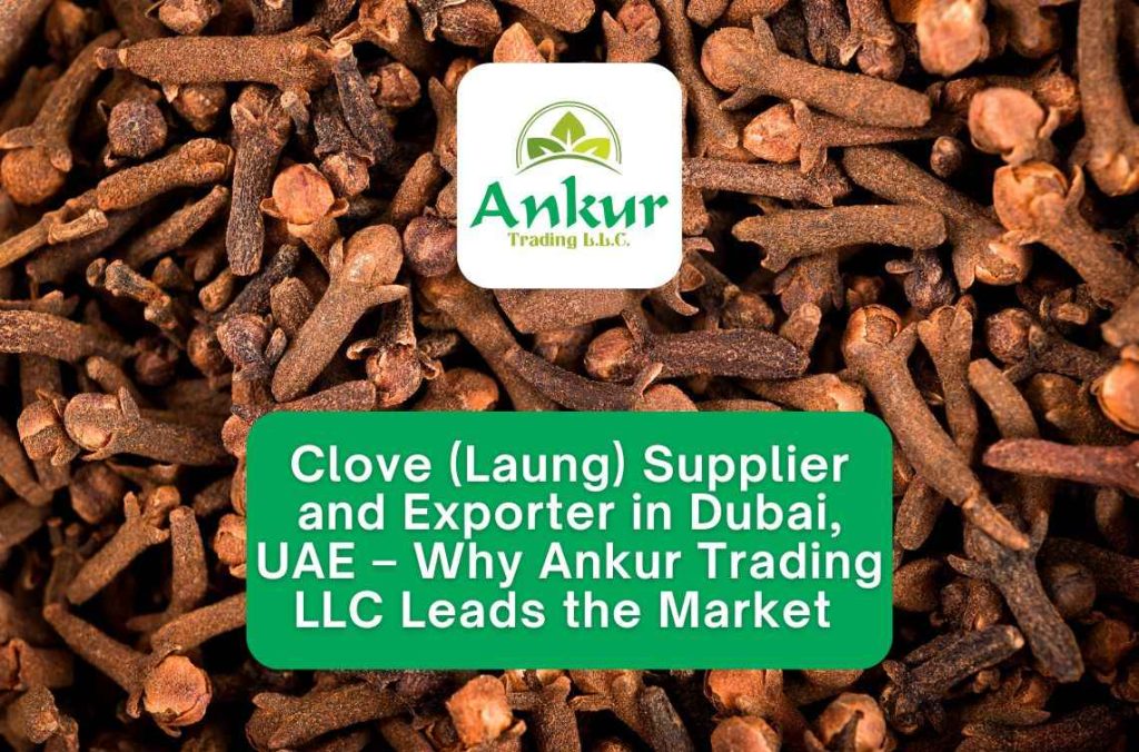 Clove (Laung) Supplier and Exporter in Dubai, UAE – Why Ankur Trading LLC Leads the Market