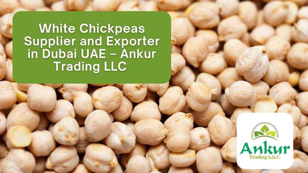 White Chickpeas Supplier and Exporter in Dubai UAE